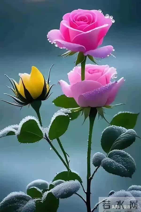 人老了，这6样，你占一样就了不起，全占简直是人生赢家