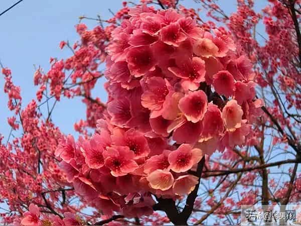 人这辈子,就两件事不能做:一是回头哭,二是抬头等