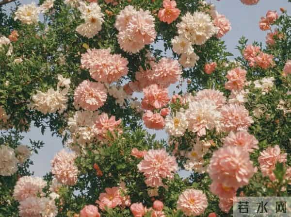 晚年最怕的不是孤独，而是把关系弄僵了才想明白