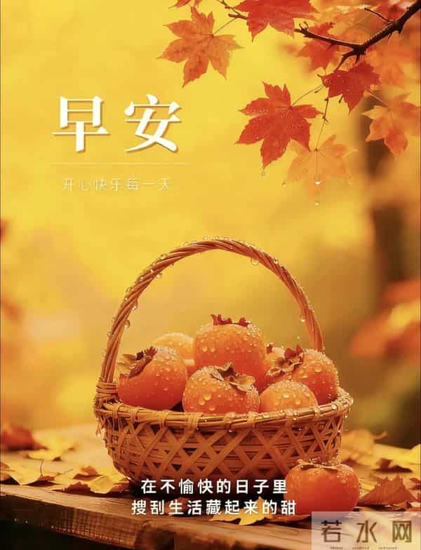 2025.11.5 冬天周五早安愉快!最新精美周五早上好温馨祝福语图片