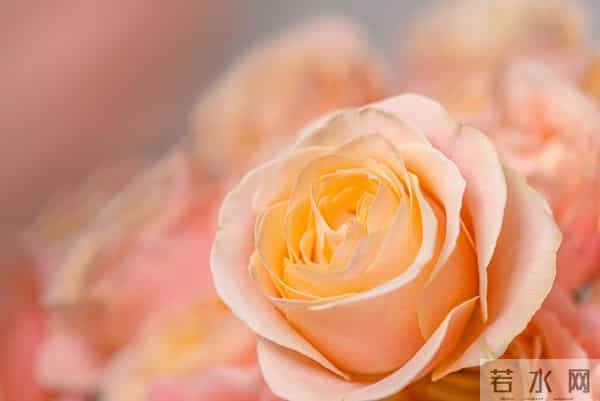 很暖很治愈的唯美句子,句句温柔,句句暖心