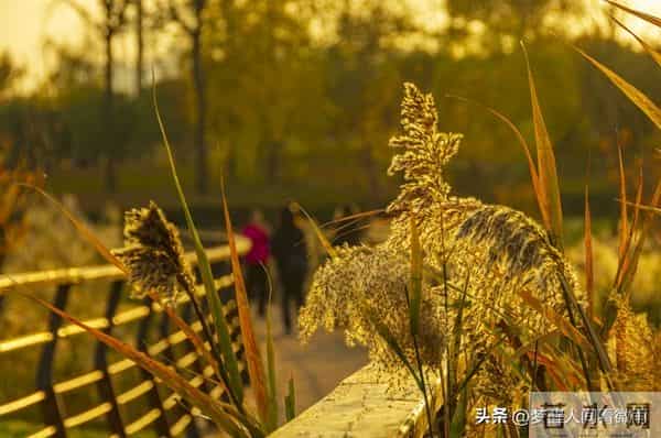 心累,是因为想太多,停止编排内心戏,拥抱此时此刻的安宁