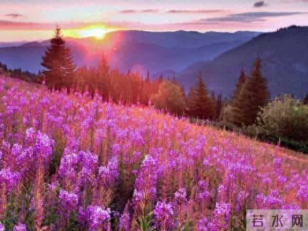 女人是否喜欢你，这三个“不拒绝”就是答案