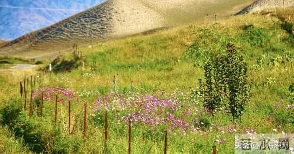 两性关系:婚姻无糖时,学会“婚内单身”是最高级的自救