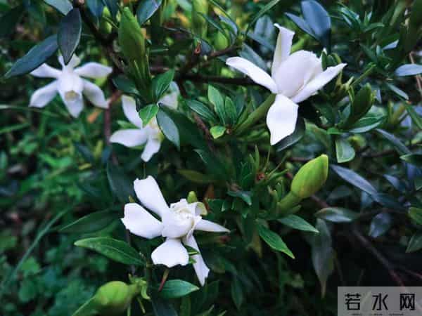 人品好的人,无论到什么年纪,都不会缺人爱