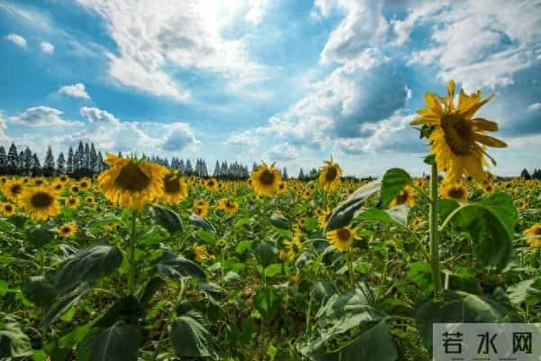 如果别人说你坏话，聪明的你会这样做，就赢了