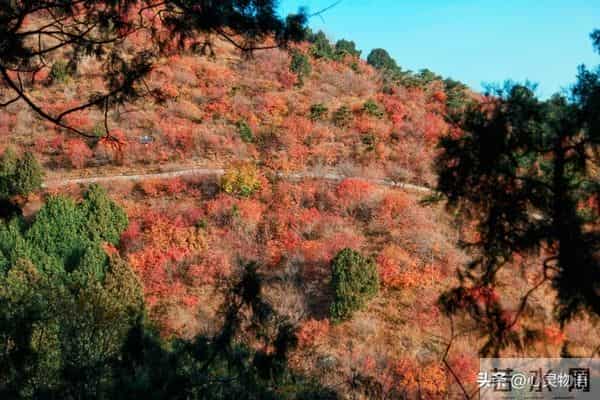 异性之间,偷偷做过这些事,就是彼此动了情