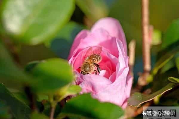 女人爱不爱你，根本不用试探！看这2点，准确率99%
