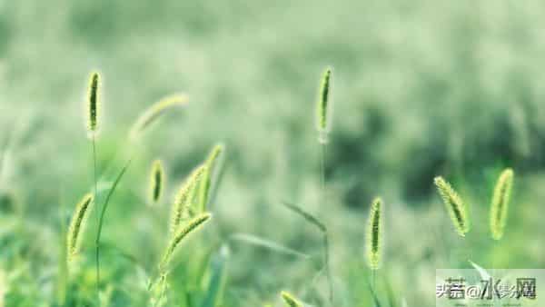 女人退休发现老伴外面有人，没哭闹背包走出，2年后老伴心梗过世