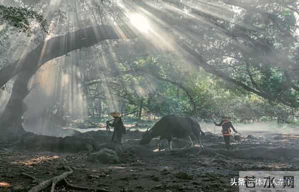 一个人最舒服的状态:读书,喝茶,独处,慢慢活着