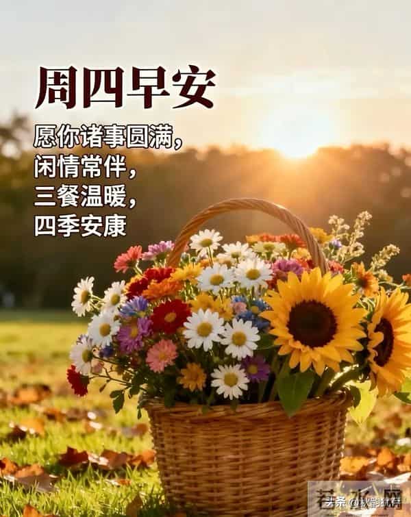 早安，凡是过往皆是序章，所有将来皆为可盼。