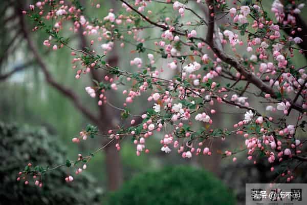 女人主动“勾”你时，不会说“我喜欢你”，却常说这5句话