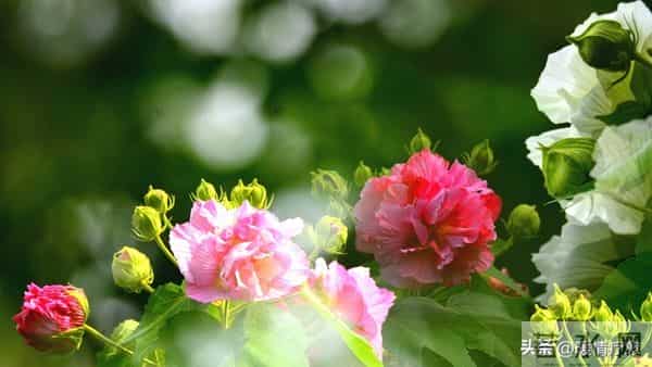 老了才明白-独来独往,没有朋友的人,往往具备这些优秀品质