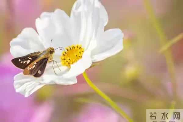 两性关系,50岁后,女人愿意被你抱,说明这几个心理防线已崩溃