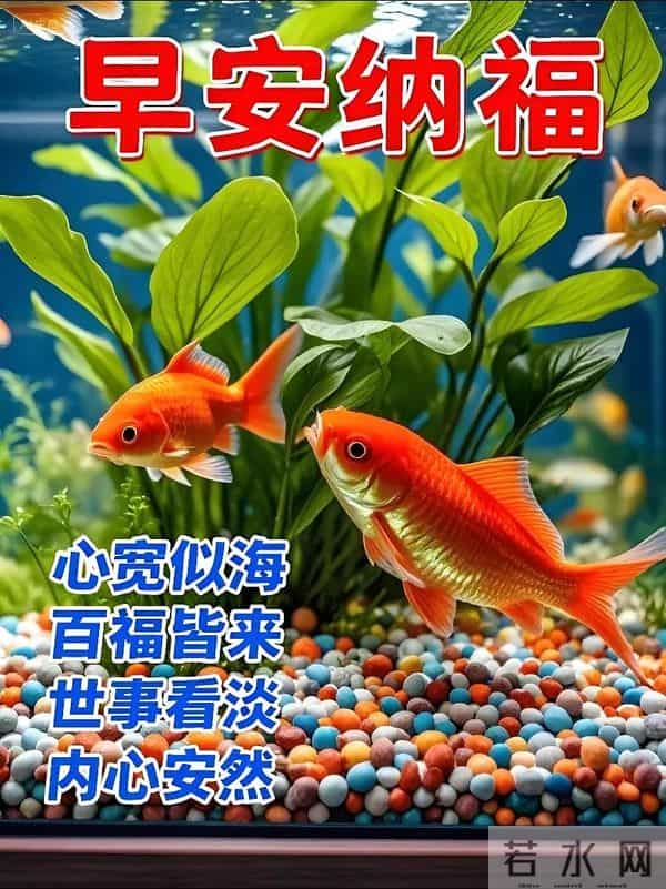 2025.12.06 冬天周六早安愉快！最新精美周六早上好温馨祝福语图片