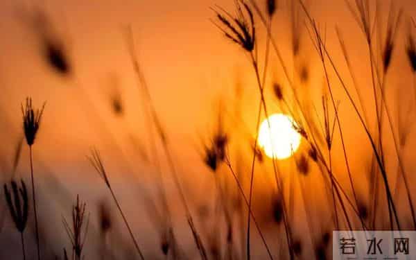 30岁以后我才明白：世界上最好的心理老师，其实就是有钱的自己