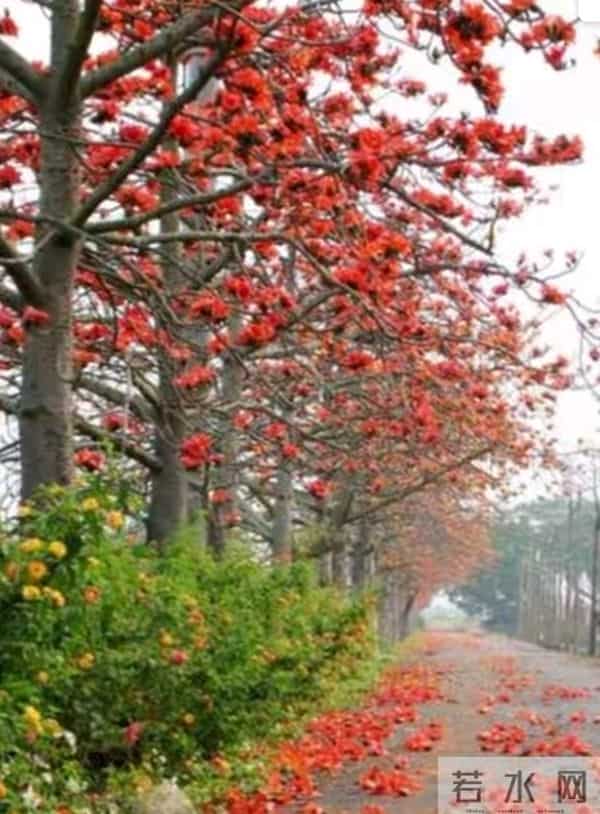 一半是征途的奔波，一半是归途的坚守，爱从未缺席