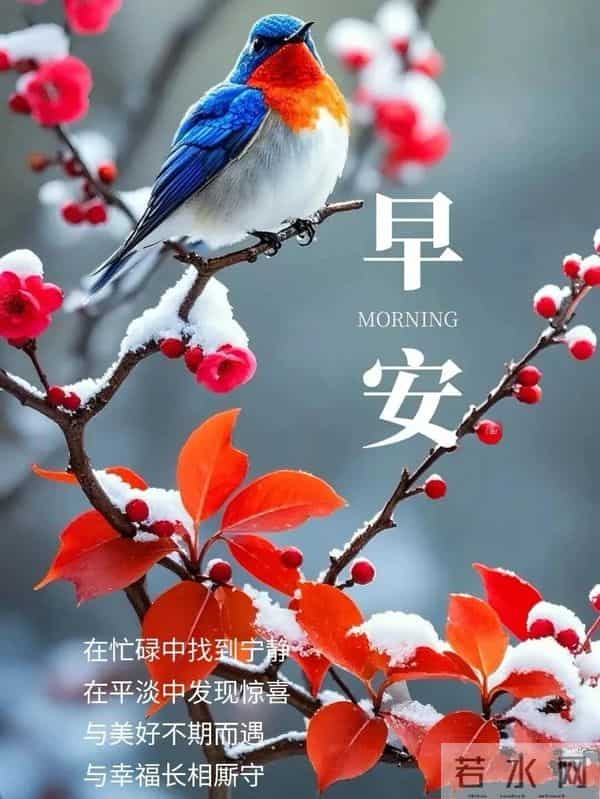 晨起纳福,愿您仓廪常满,生活丰盈;财如活水,岁岁有余。早安!