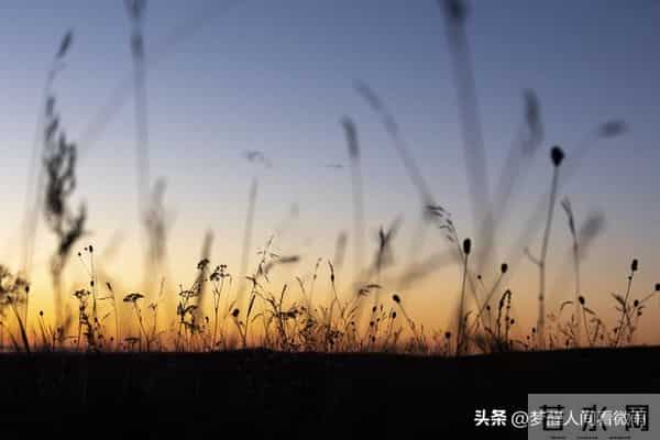 心累,是因为想太多,停止编排内心戏,拥抱此时此刻的安宁