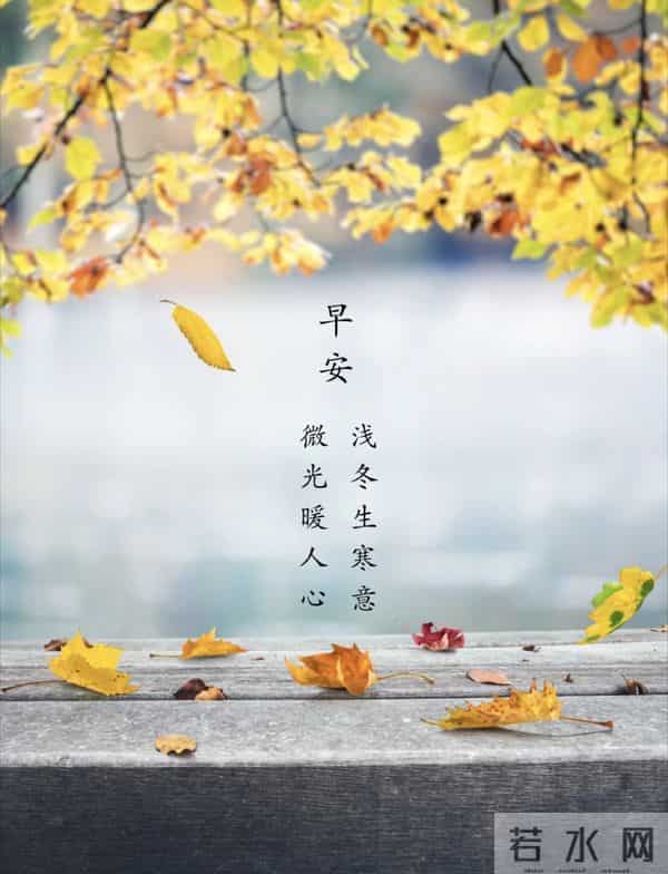 2025.11.5 冬天周五早安愉快!最新精美周五早上好温馨祝福语图片