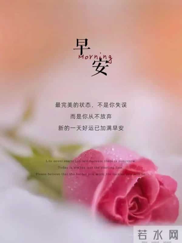 晨露与芬芳,致早安