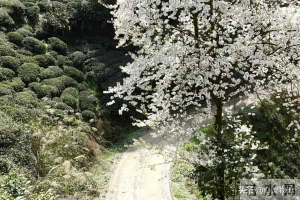 经历两次离婚,我明白了-所有夫妻关系的破裂,都始于同一个错误