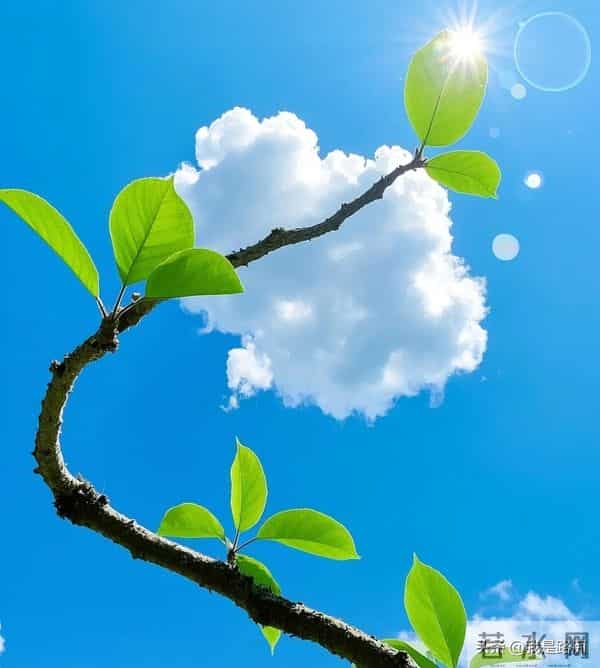 出现这些信号，说明你的苦日子到头了，老天开始给你“补糖”了