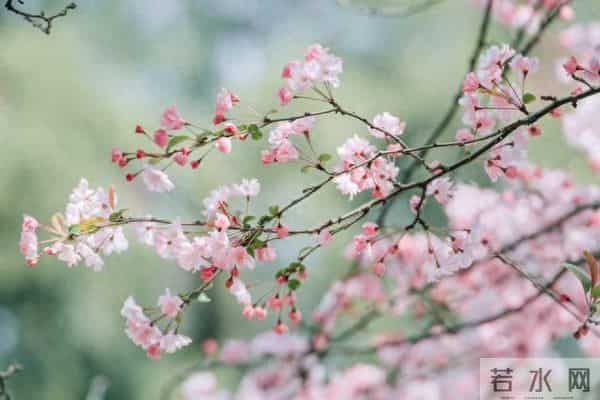 退休的婆婆的醒悟 不管儿媳对你亲不亲 守住这3条底线 晚年才有尊严