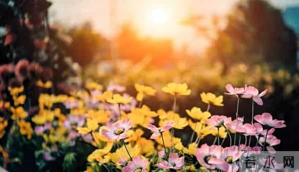 当别人对你使绊子时，最高级的反击是“懒得理”！