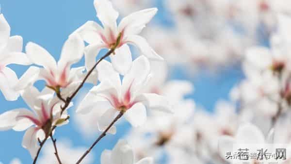 父母不在后，你会发现：真正惦记你的人，其实只剩下这三类