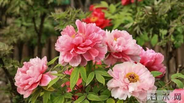 没人告诉你，男人是不会爱的，确切说，是不会像女人需要的那样爱