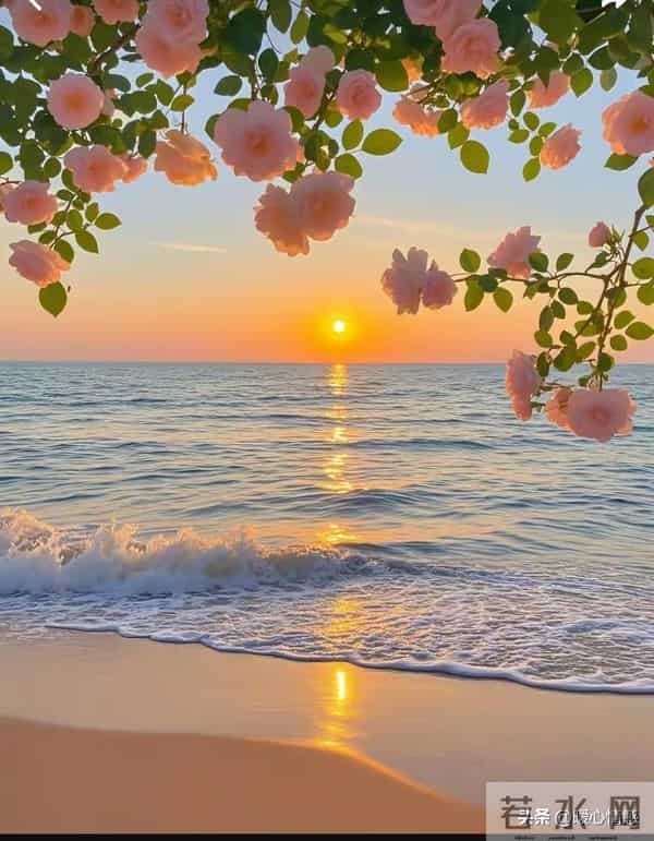 两性关系,多数女人过了60岁,还在渴望的4种陪伴,你知道几种?