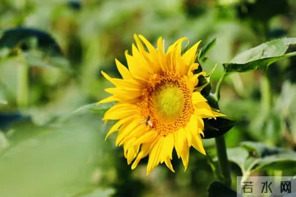 退休的婆婆的醒悟 不管儿媳对你亲不亲 守住这3条底线 晚年才有尊严