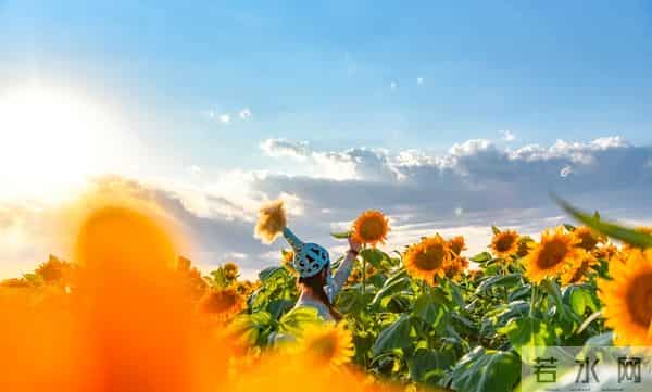 如果别人说你坏话，聪明的你会这样做，就赢了