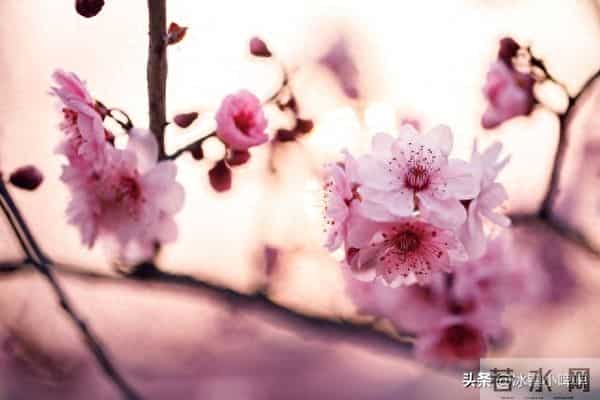 断联后,女人还默许你问这个“隐私”,说明想和你“再续前缘”