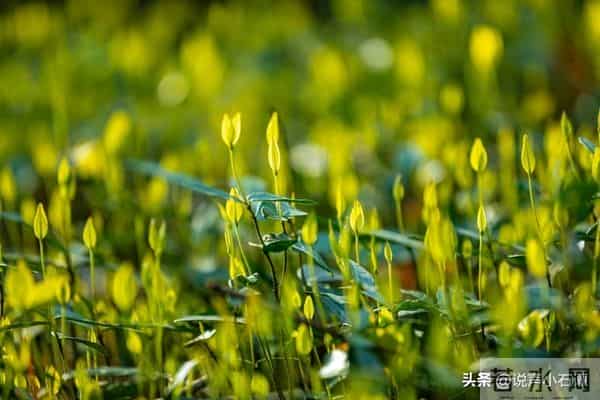 从今天起，你的好日子正式到站了，请准备签收！