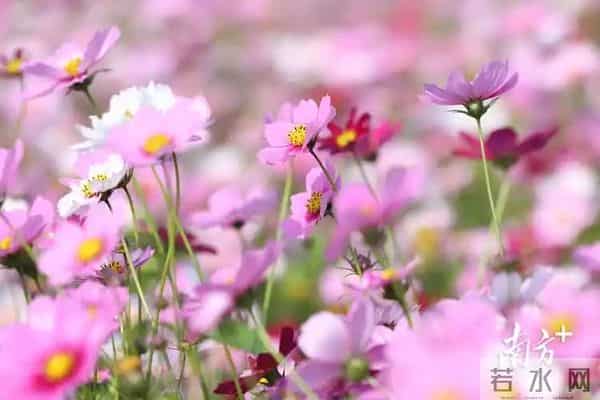 100个离婚女人的血泪教训:婚姻幸福的关键不是有钱而是这两个字