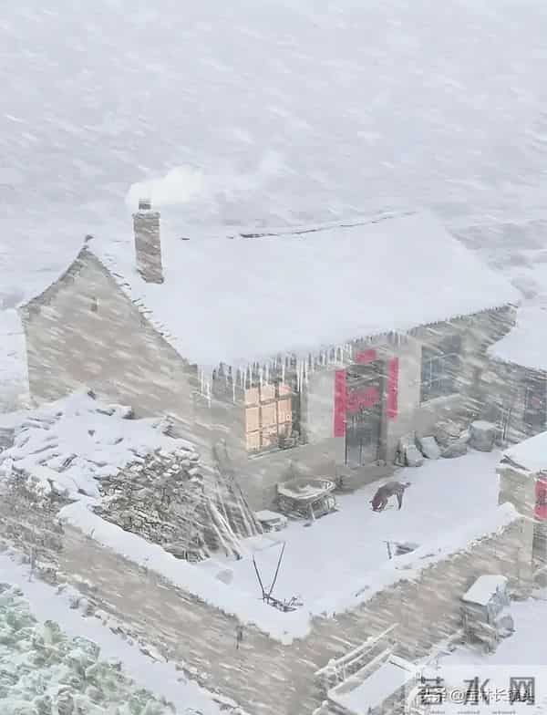 散文∥大雪有痕