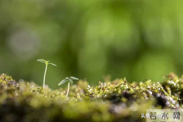 从今天起，你的好日子正式到站了，请准备签收！