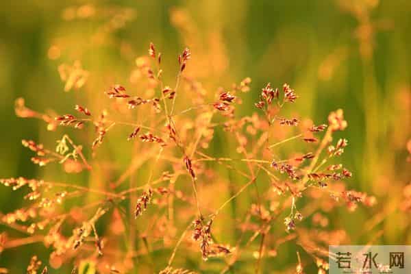 遇见你,三生有幸,想念你,情深一生