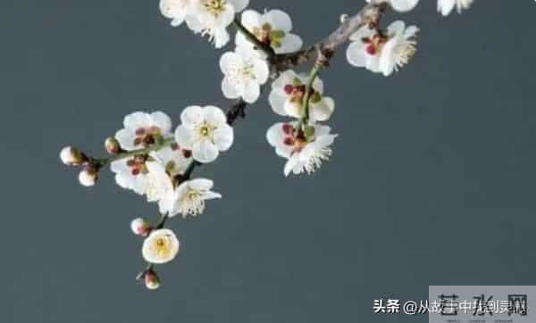 “人若奸,一看便知”:有这三种特征的人,你要多留个心眼