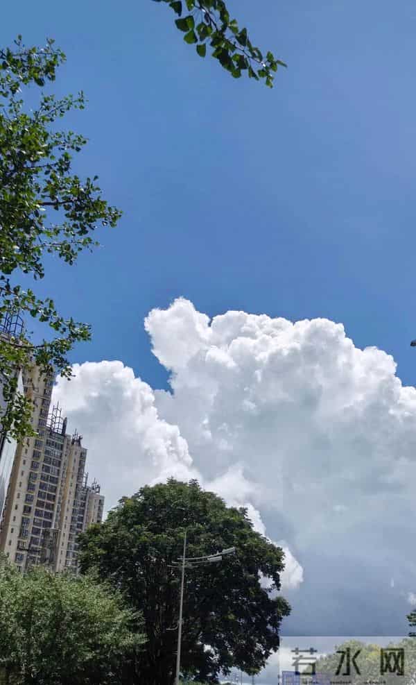 与子女“相忘于江湖”,是父爱最深的境界