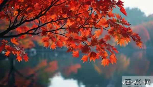 老了才活明白,最幸福的老人都有这3个“怪癖”占一个就乐吧