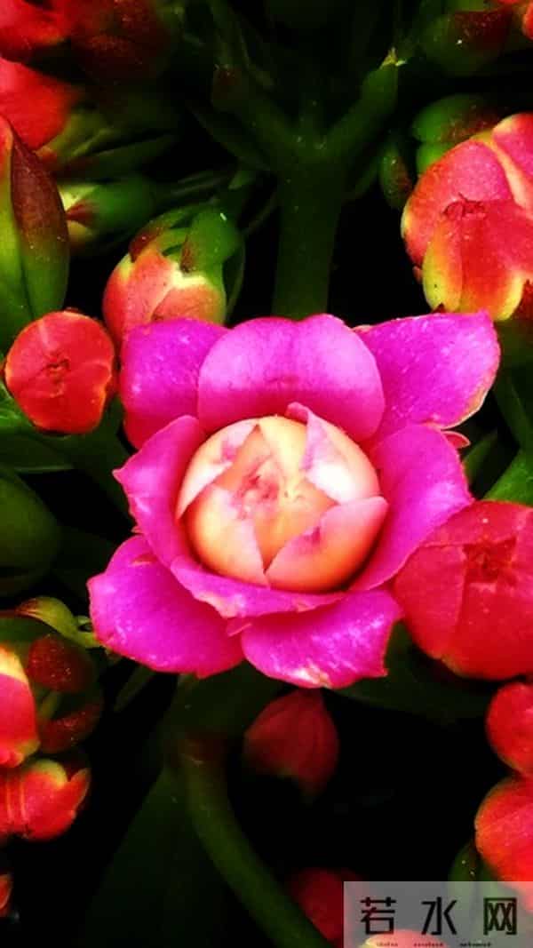 母亲一句话点醒我：女人最硬的底牌，不是漂亮有钱，而是这3样