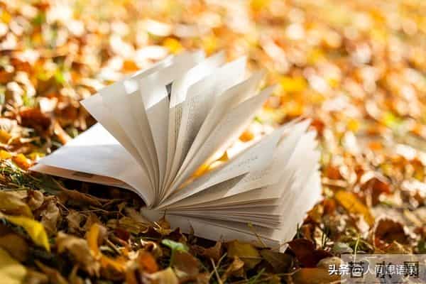 2025年最令人人间清醒的20句话，句句入心，值得反思！