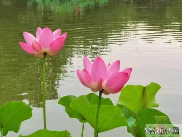 一定要记住，无论到哪里，都不要话多，也不要和任何人吐露太多