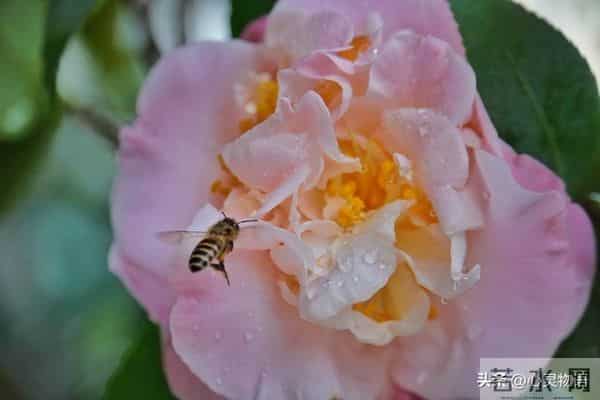 女人爱不爱你，根本不用试探！看这2点，准确率99%