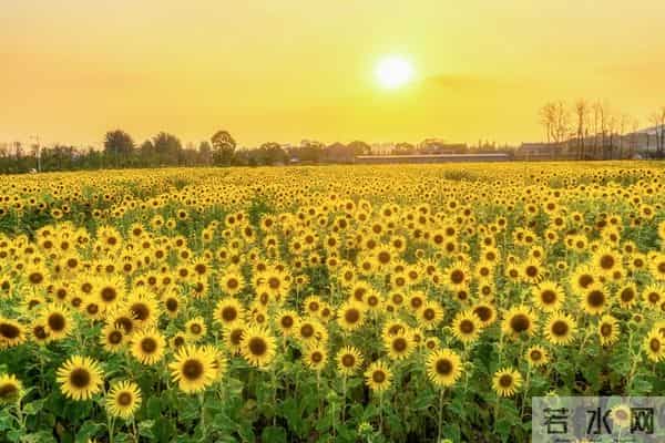 如果别人说你坏话，聪明的你会这样做，就赢了