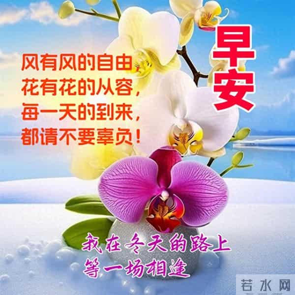 时光浅吟，情谊长歌。新的一天，早安！