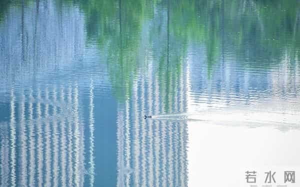 十二星座王炸组合：相爱相杀才是顶配！